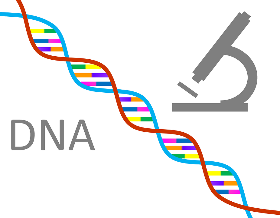 Genetic Study Improves Lifespan Predictions and Scientific Understanding of Aging
