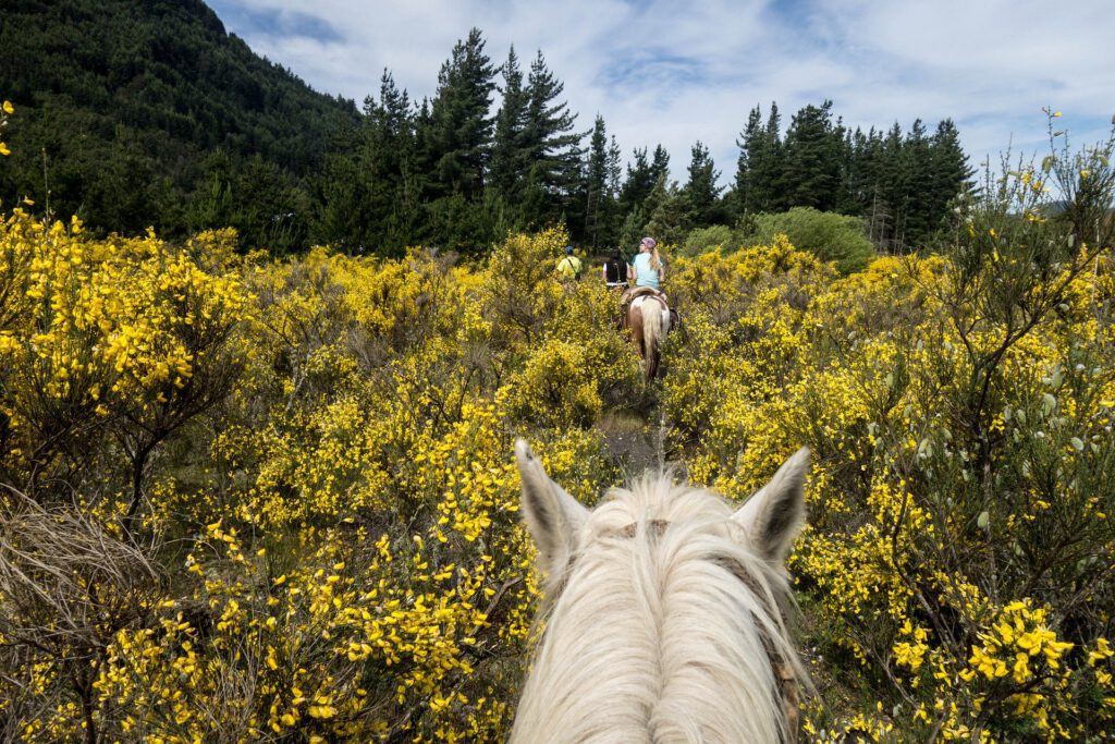 He Wanted a Unicorn. He Got … a Sustainable Business